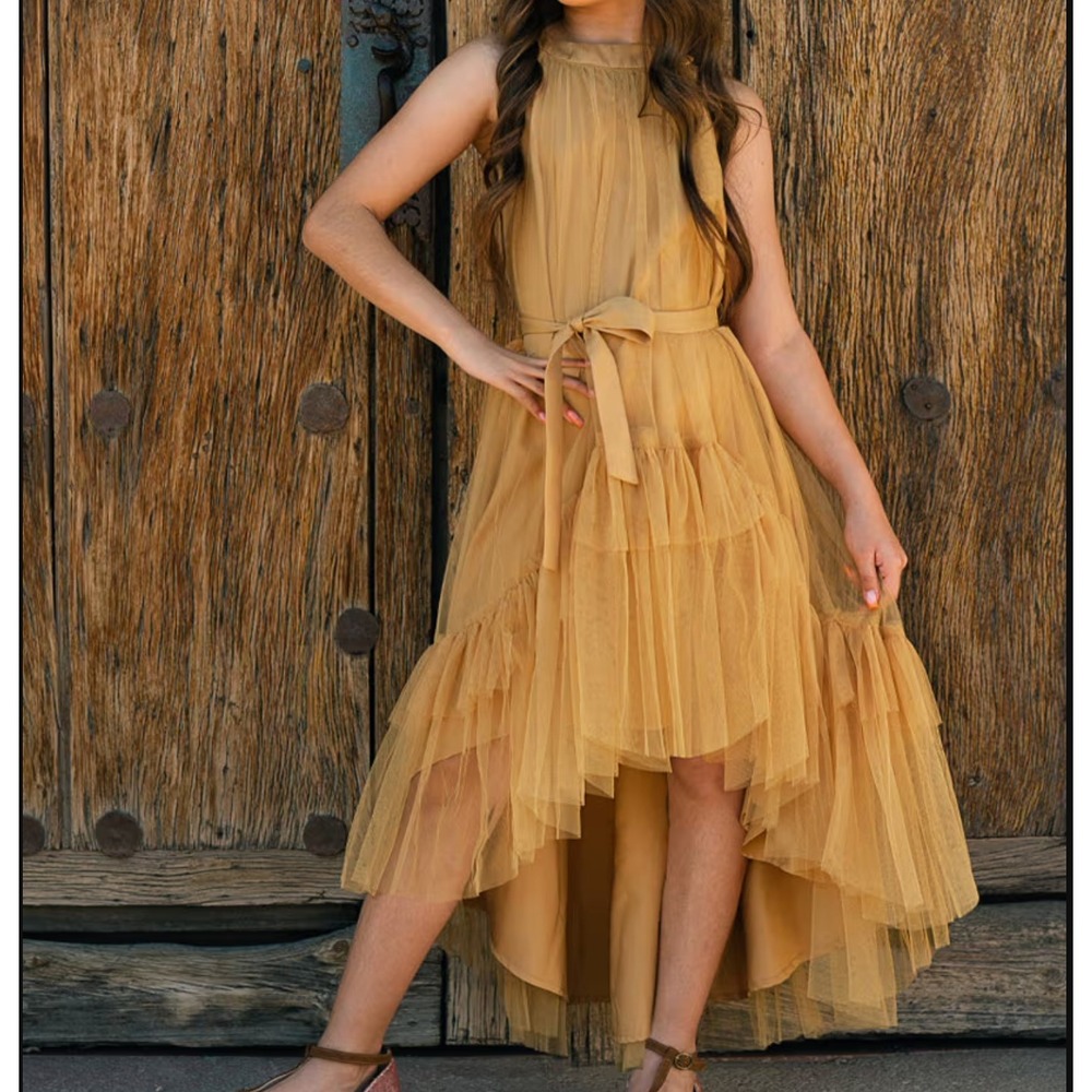 Joyfolie Fay Dress Honey Tulle Tiered High Low Special Occasion Kids 2 NWT